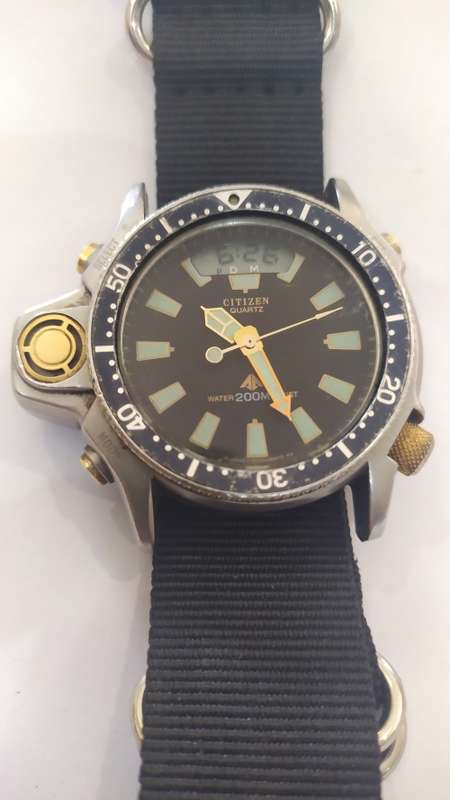 Citizen Dive watch